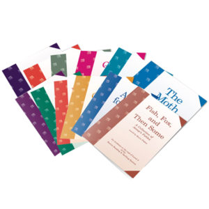 Digital Stand Alone Chapter Books for students at the end of Level 3